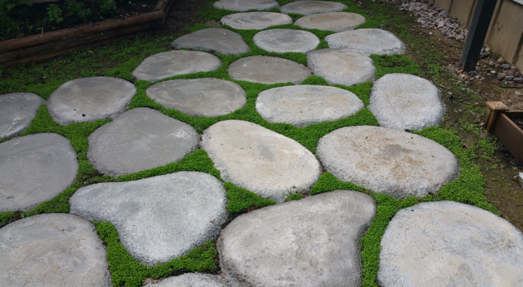 DIY Cement Yard Stones