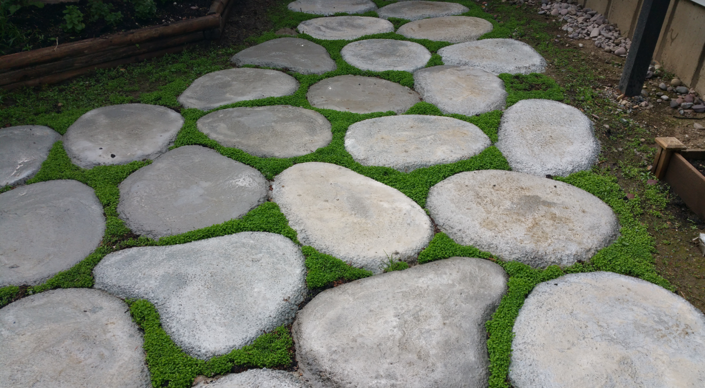 DIY Cement Yard Stones for backyard - GabbieGillmer